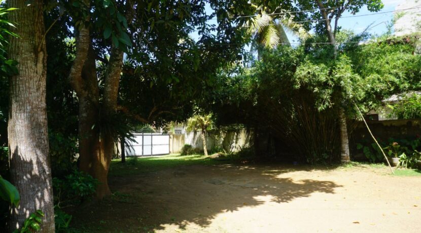 DSC07617