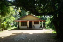 DSC07621