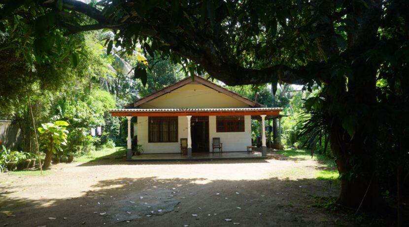 DSC07621