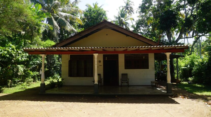 DSC07633