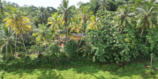 Deco Style House overlooking the paddy fields