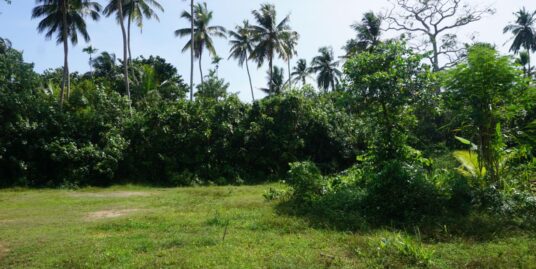 Bare land close to Koggala Lake