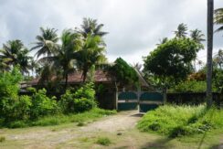 DSC06514