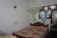 DSC07993