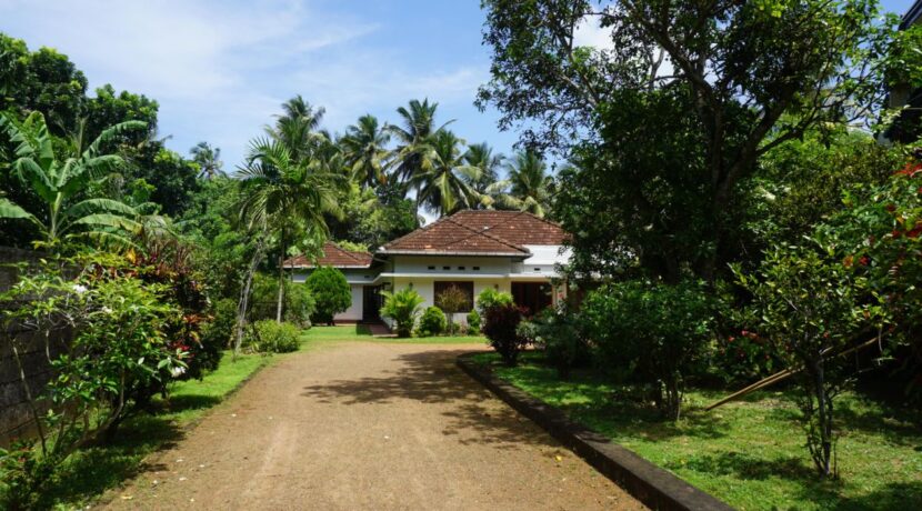 DSC07011
