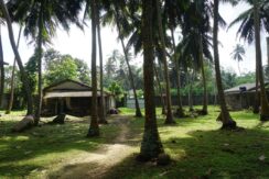 DSC07178