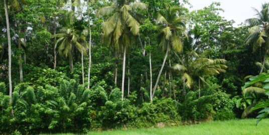 Ahangama Paddy view land for sale