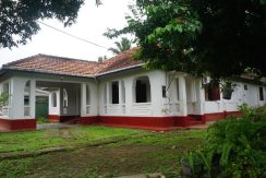 DSC01552