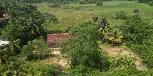 Charming 4-bedroom House with Scenic Paddy Views in Midigama