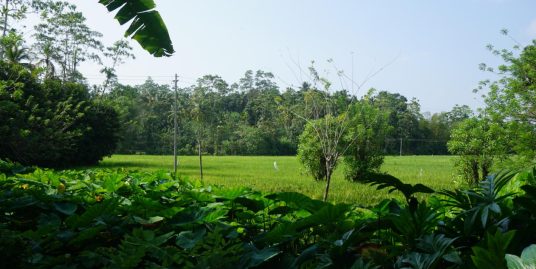 Charming 24 Perch Property with Paddy Field Views