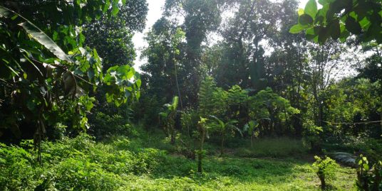 Ahangama Land for sale