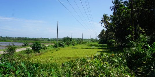 Weligama – Uninterrupted paddy field views
