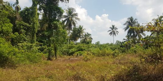 Land for sale in Bentota