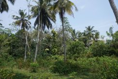 DSC02960