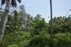DSC02963