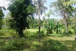 DSC03335