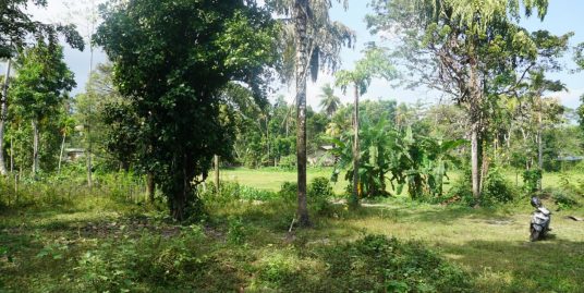 Land in Ibbawela-15-Minute to Ahangama & Midigama Beaches