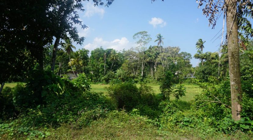 DSC03341