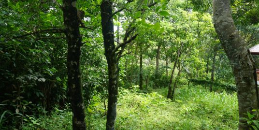 Elevated bare land