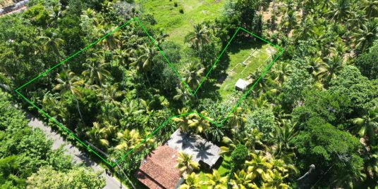 80 Perch Land with Paddy Views in Ibbawela