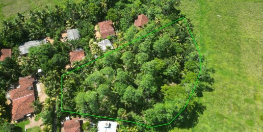 138 perch Elevated Land Surrounded by Nature – Ibbawela