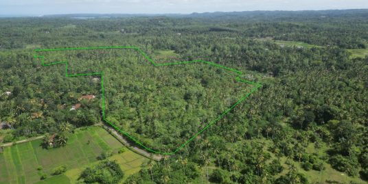 32.5-Acre Green Land: Perfect for Eco-Projects & Investment