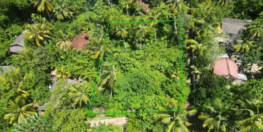 Affordable 51 Perch Land for Sale in Talpe