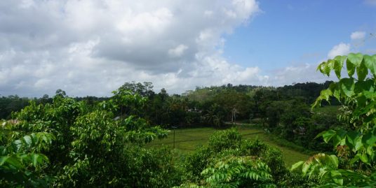 Spacious 120 Perches in Kathaluwa with Jungle and Paddy Views