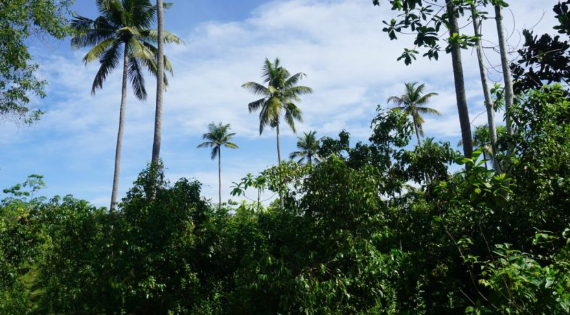 DSC04698