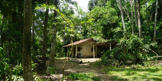 Build Your Dream Home Away from City Noise