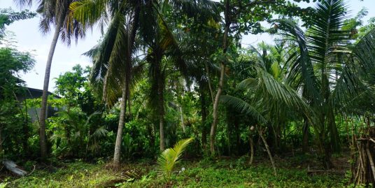 31.5-Perch Plot Near Galle’s Top Beaches and Historic Fort