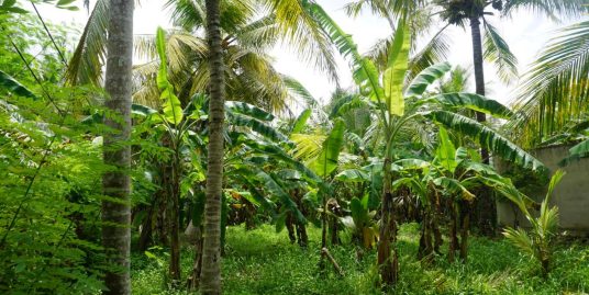 20 Perch Land for Sale near Kabalana Beach