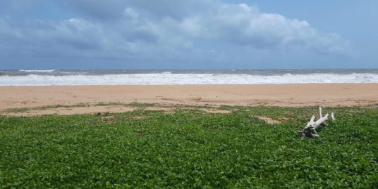 55.8 Perches Bare Land with Versatile Potential – Induruwa