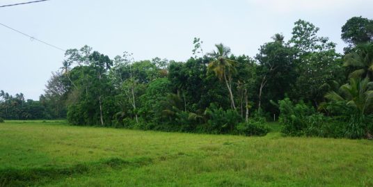 Ideal Location for a Private Home with Scenic Paddy Views