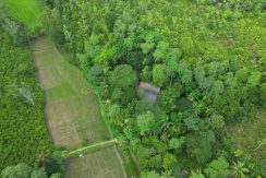DJI_0420