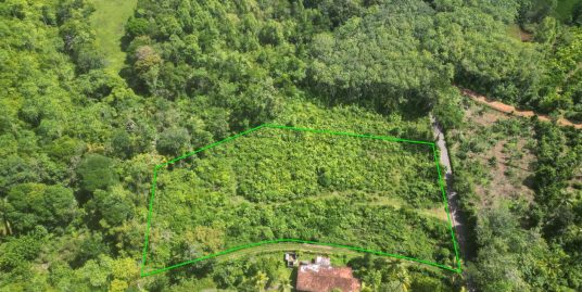 177 Perch of Flat Land in Ahangama