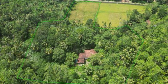 Lush 5-Acre Land with Mature Trees and Renovation Potential