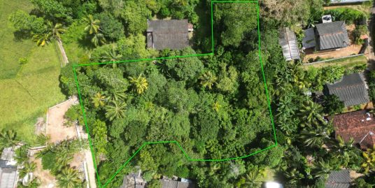 155-Perch Plot Perfect for a Private Home Near Ahangama Beach