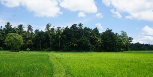 632-Perch Elevated Land with Stunning 270-Degree Paddy Views