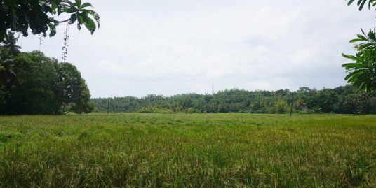 100-Perch Habaraduwa Land with Quick Beach Reach