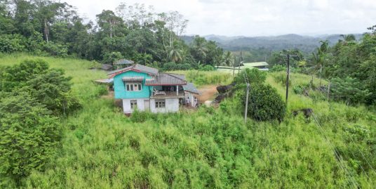 8.5-Acre Tea Estate with Bungalow and Income Potential