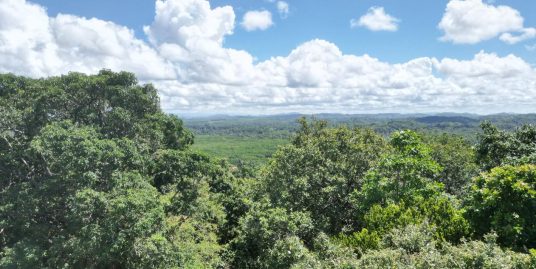 Your Chance to Own 109 Perches with Breathtaking Jungle Views