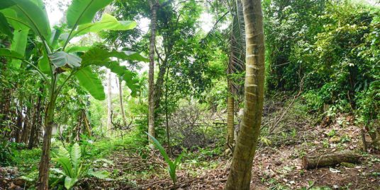 Your Chance to Own Affordable Bare Land in Ahangama
