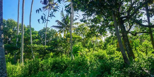 40-Perch Flat Land Close to Kabalana Beach