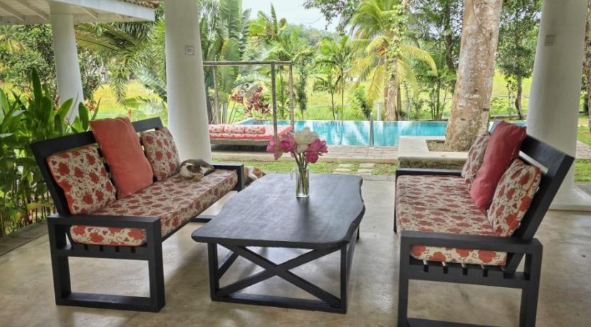 Outside Patio view pool