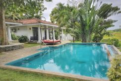 View swimmingpool side