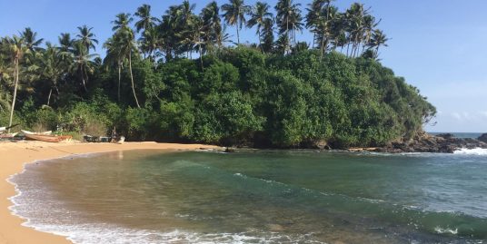 Prime Beachfront Land Kottagoda / Dikwella