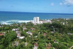 DJI_0330