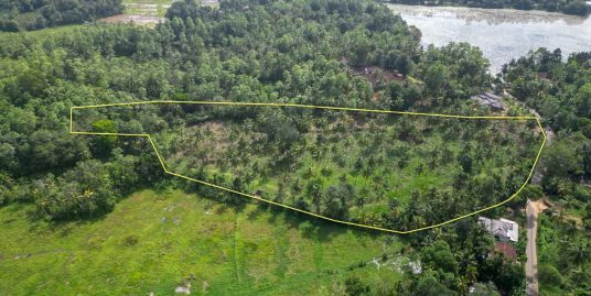 5.5 Acres Bare Land for Sale in Midigama