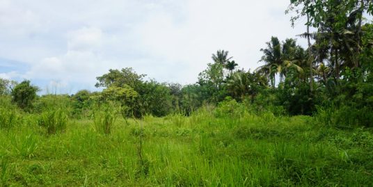 91P Land for Your Dream Home- Ahangama